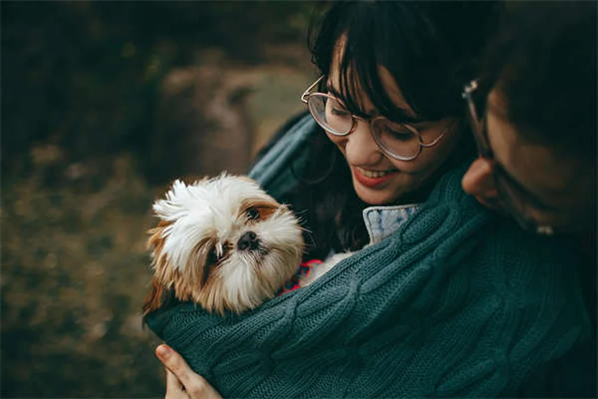 Pensione per animali: 5 soluzioni perfette per il tuo pet